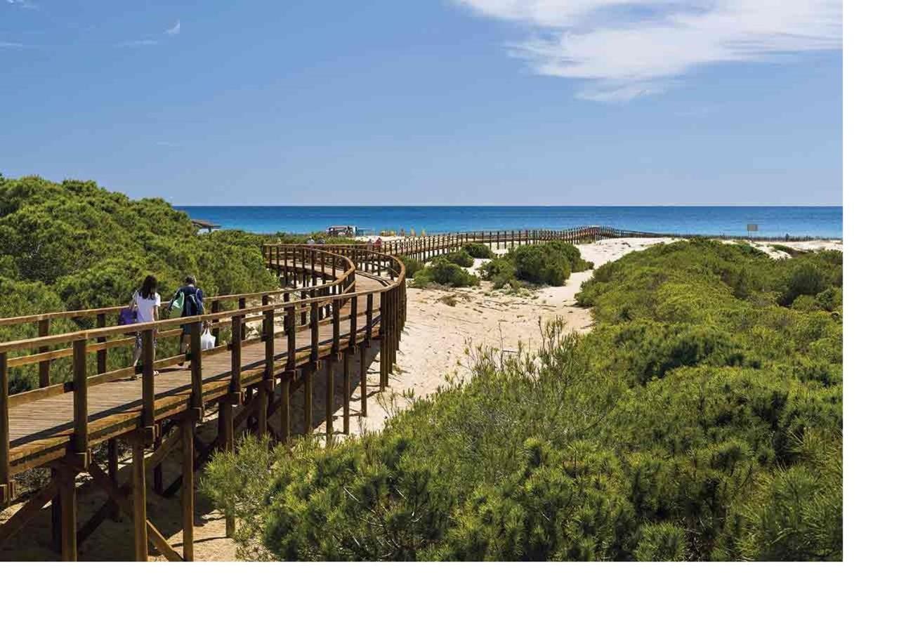 Luxury New Apartment City Centre & Beach, 阿利坎特 外观 照片